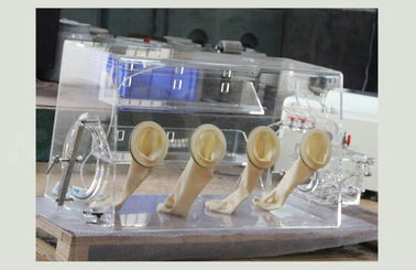 Cellule de pièce de monnaie faisant la boîte à gants de vide sans purification eau-air de l'oxygène