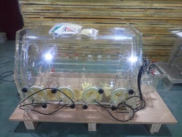 Boîte à gants de laboratoire de batterie pour le vide de cellules de batteries d'ion de lithium vers le bas à -0.1MPA